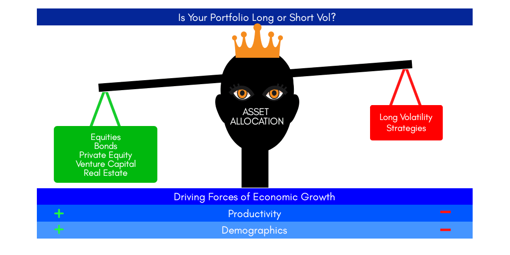 Is Your Portfolio Long or Short Vol